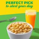 2 x Mott's Apple Cinnamon Cereal, Made with Apple Puree, Whole Grain, 14 oz