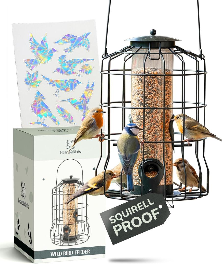 Hearts&Birds Squirrel Proof Bird Feeder Outdoors Hanging with Anti Collision Window Stickers for Birds - 360 Feeding Perch with Large Capacity for Wren Finches Chickadees Cardinal Wild Birds