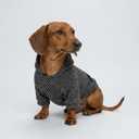 Fitwarm Black Striped Dog Hoodie, Winter Clothes for Small Dogs Boy Girl, Lightweight Pet Hooded Outfit, Black, Silver, XS