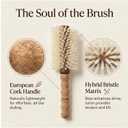 Boar Bristle Round Hair Brush Lightweight Cork Handle, Blonde Boar and Nylon Bristles, 2.75 Inch Blow Out Barrel, Fine to Medium Hair Blowout for Women