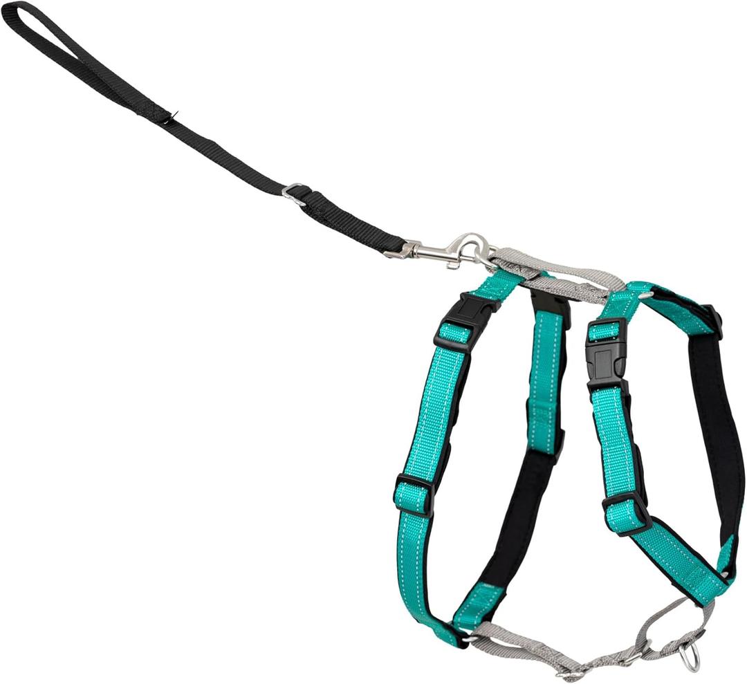PetSafe 3 in 1 No-Pull Dog Harness for Small Dogs- Walk, Train or Travel - Helps Pets from Pulling on Walks - Seatbelt Loop Doubles as Quick Access Handle - Reflective- Extra Small, Teal