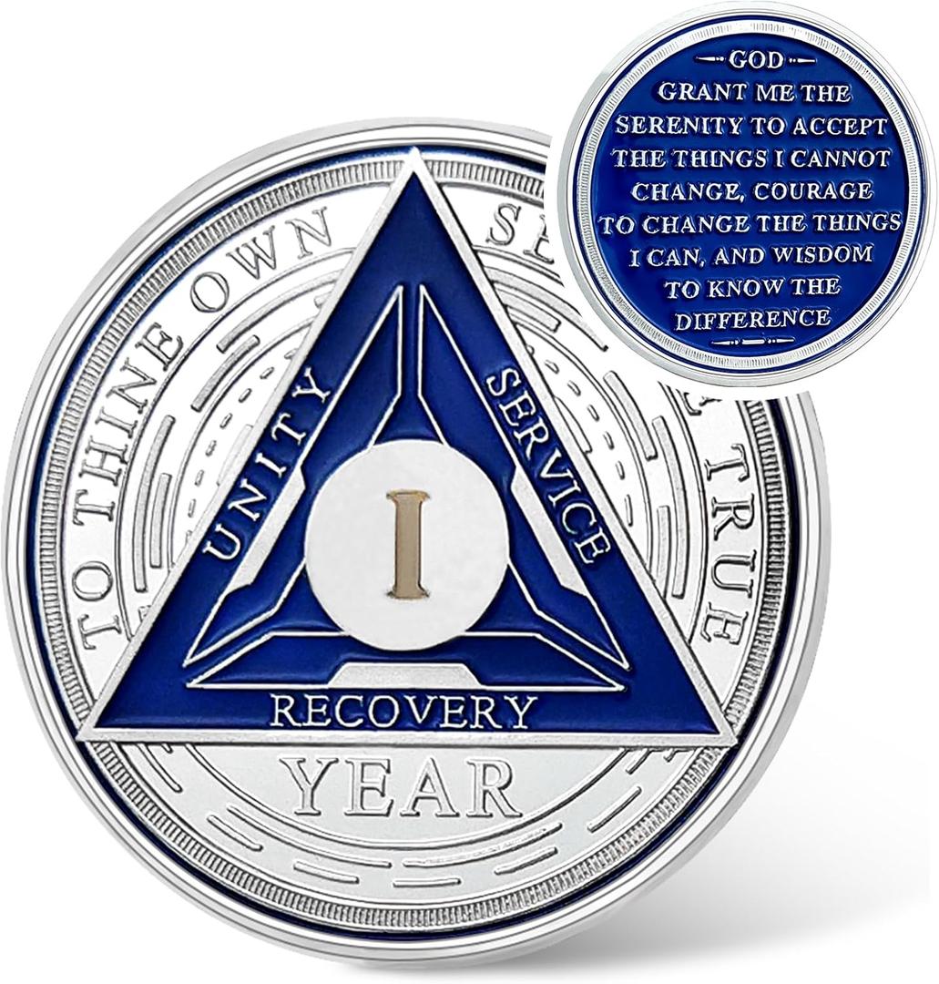 Recovery Triangle 1 Year Sobriety Coin - Silver Roman Numeral NA AA Coins - 1-40 Prime NA/HA/AA Chips and Medallions - Narcotics Alcoholics Anonymous Sober Gifts for Men Women