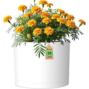 10 Inch Round Plastic Plant Pot with Drainage Holes and Saucer, Wide Flower Pots for Indoor & Outdoor Plants 7.9" Tall Modern Cylinder Planter Pot for House Plants and Home Decorative, Matte White