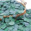 3200+ Preserved Real Eucalyptus Leaves Small, Natural Bulk Eucalyptus, Biodegradable Wedding Leaves Confetti for Anniversaries, Birthday, Graduation, Bridal Showers, Baby Shower Party Decor