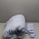 CozyLux Queen Comforter Set Greyish Blue Cationic Dyeing 3-Piece Soft Bed Set Luxury Lightweight Fluffy Microfiber Down Alternative Duvet Insert for All Season (1 Comforter, 2 Shams)