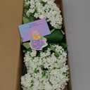 EUEUZLT Hydrangea Artificial Flowers Fake Hydrangeas - Silk Flowers 4 Pack 28 Inch Long with 12 Real Touch Blooms, Snowball Viburnum for Wedding and Home Decor (White)