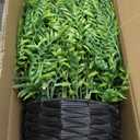 Juxdp Artificial Ferns Plants with Hanging Basket-2 Set for Outdoor Decoration, Fake Boston Fern Hanging Planters Faux Greenery UV Resistant for Front Porch Patio Garden Farmhouse Home Decor (Green)