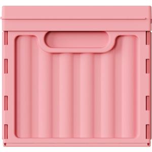 Lockable Plastic File Box with Lid for Letter-Size
Hanging File Folders Not Included.Large 1-Pack. Home, Office, Classroom, Dorm, Tax, Under Bed, Filing Cabinet.