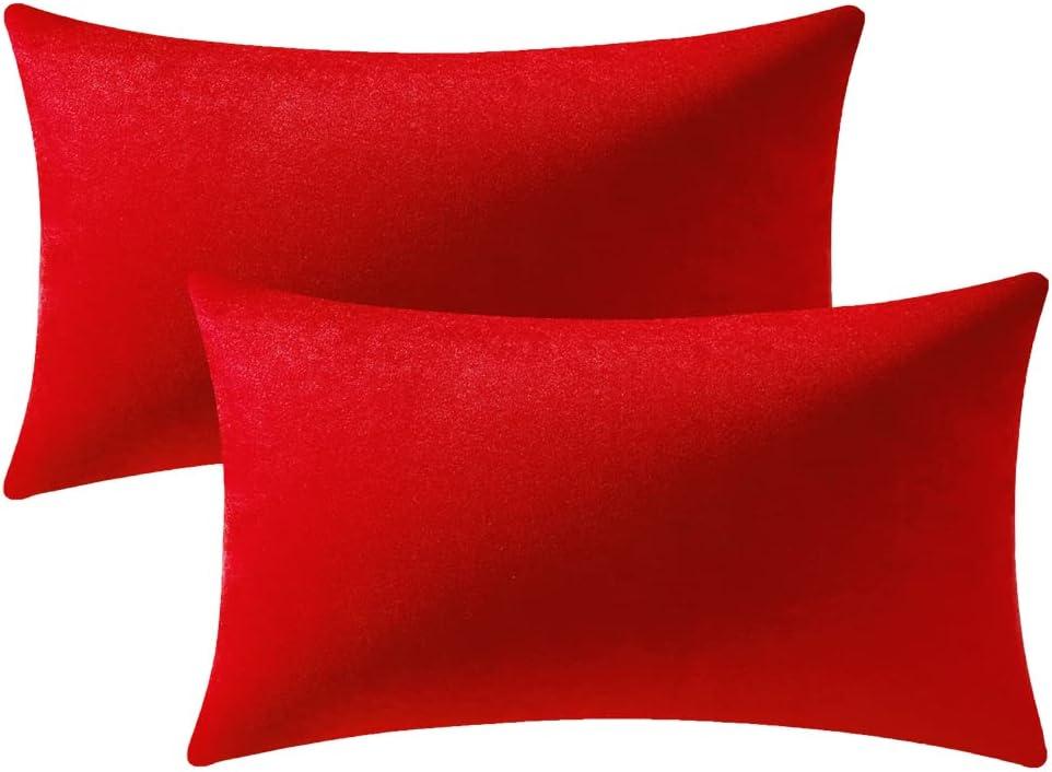 Lumbar Pillow Covers 12x20 Christmas Red: Pack of 2 Cozy Soft Velvet Rectangular Modern Luxury Decorative Throw Pillow Cases for Sofa Couch Living Room Bed Home Decor