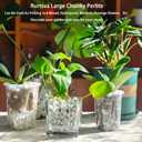 Natural 1-2CM Hard Chunky Perlite 10QT for Plants Horticultural Coarse Organic Pearlite Bulk Potting Mix Garden Soil Amendment for Enhanced Drainage and Ventilation for Orchid, Dendrobium, Araceae