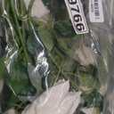 Carlita‘s Blooms 15pcs Ivory Roses Artificial Flowers Silk Fake Flowers Realistic White Roses Bouquet Long Stem for Wedding Home Party Birthday Decoration