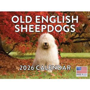Old English Sheepdog Calendar 2026 Monthly Wall Calender 12 Month | American Made In The USA