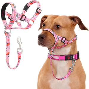No-Pull Dog Head Collar, Print Head Halter Collar for Dogs, Gentle Lead Collar to Stop Heavy Pulling, Anti-Pull Training Muzzle Leash for Easy Control on Walks (Pink, Small)