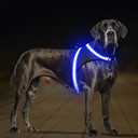 ChalkLit Light Up Dog Harness, No Pull Led Dog Harness Glow-in-The-Dark for Night Walking, USB Rechargeable Lighted Safety Vest for Medium Large Dogs, Adjustable Soft Mesh Fully Illuminated (Blue, XL)