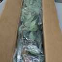 5ft Ficus Artificial Trees with Natural Curved Trunks, 60" Tall Lush Faux Tree for Home Decor Indoor, Green Lifelike Fake Ficus Tree Artificial Plants