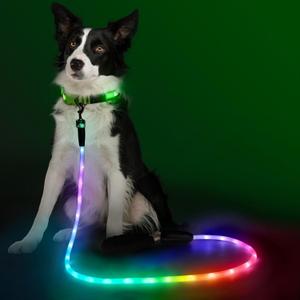 YFbrite 4FT Light up Dog Leash with 15 Flashing Modes - Super Bright LED Dog Leash for Small Medium Large Dogs - Type-c Rechargeable Dogs Leashes Light (Multi-Color, 4FT (120cm))