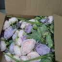 MARTINE MALL 12 Packs Peonies Artificial Flowers, Pinkish-Purple Artificial Peonies, Silk Peonies Flowers Fake peonies Artificial Flowers Peonies Bouquet for Centerpiece Table Wedding Party Home Decor