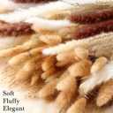 400 Pcs Dried Pampas Grass Decor Bulk 17 Inch White Dried Reed Grass Bunny Tails Dried Flowers Natural Fluffy Reed Grass Pampas Grass Brown White Pampas for Boho Home Table Party Wedding Decorations