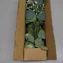 60 Pcs Mixed Artificial Eucalyptus Leaves Stems Bulk, 5Kinds Fake Greenery Silver Dollar Leaves Dried Eucalyptus Bundle with White Seeds Berry for DIY Bouquets Floral Arrangement Wedding Vase