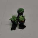 Der Rose 3pcs Fake Succulents Plants Artificial for Black Bathroom Bedroom Home Living Room Halloween Decor Aesthetic Indoor