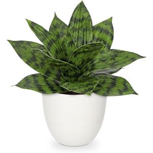 Hollyone Artificial Snake Plants 9" Faux Agave Succulent Plant Potted in White Pot Fake Sansevieria Aloe Tropical Plant for Desk Modern Office Home Bathroom Indoor Outdoor Decor
