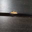 Sauder Storage Cabinet/ Pantry cabinets, 29.61 " x D: 16.02 " x H: 71.50", Cinnamon Cherry finish