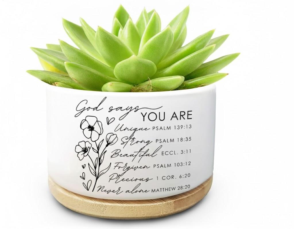 Funny Cute Cat Ceramic Planter Pot with Drainage Holes and Bamboo Tray Ideal for Succulent and Cactus Plants Decorative Indoor Home Office Gift for Cat Lovers and Plant Lovers (Plant Not Included)