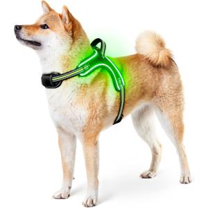 Light Up Dog Harness Rechargeable No Pull Rainproof Dog Vest with Handle for Night Walking, Lighted Dog Harness for Small Medium Large Dogs (Green, M)