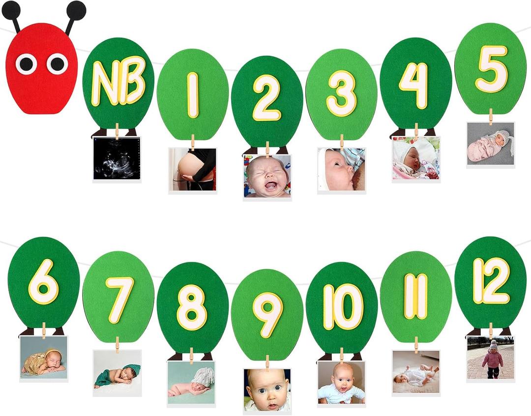 TaoBary Caterpillar Decorations Thick Felt First Birthday Party Banner Monthly Milestone Photo Banner for Baby from Newborn to 12 Months One Year Photo Garland Decorations for Monthly Garland