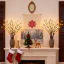 GOESWELL Lighted Branches Tree Lights: 18In Brown Willow Twig Light with Timer for Vase Decor - Tree Branch Light with 60 Warm White LED for Tabletop Living Room Indoor Decoration