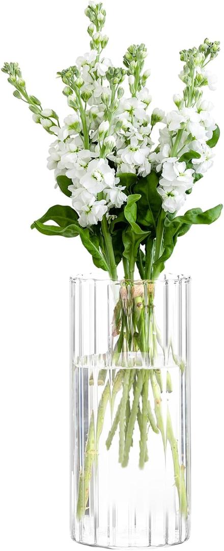 Gute 10 Inch Glass Vases for Decor, Flower Vase for Home Decor, Modern Decorative Clear Vase Centerpieces Living Room, Kitchen