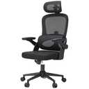 SIHOO Ergonomic Office Chair, Office Chair with Up&Down Lumbar, High Back Home Desk Chair with 3D Armrests, Computer Chair with Adjustable 2D Headrest, Tilt Function Black