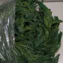 Hananona 9 Ft 2 Pcs Artificial Norfolk Pine Garlands, Realistic Pine Garland, Green Artificial Greenery Garland for Table, Mantle, Wall, Indoor, Outdoor Winter Christmas Decorations (2, 9 FT)