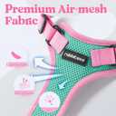 rabbitgoo Cat Harness and Leash Set, Escape Proof Soft Adjustable Vest Harnesses for Outdoor Walking, Easy Control Breathable Kitten Jacket with Reflective Strips, Green & Pink, S