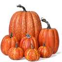 Lvydec Artificial Pumpkins Set Harvest Decoration, 7pcs Assorted Size Orange Pumpkins Realistic Large Pumpkins for Halloween Thanksgiving Autumn Festive Party Supplies (Orange)