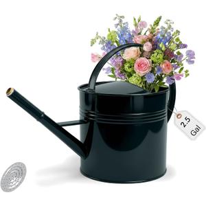 2.5-Gallon Metal Watering Can,9.5L Large Galvanized Watering Can for Outdoor Plants with Removable Long Spout Silver Handle