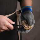 1 Pcs Level 9 Cut Resistant Gloves, Food Grade for Stainless Steel Mesh Metal Glove Touch Screen, Kitchen Cooking Gloves for Women and Men, for Butcher Meat Cutting Oyster Shucking, Size: 8/Medium