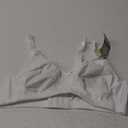 Bali Cotton Double Support Wire-Free (38B, White)