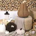 3 Pcs Fall Thanksgiving Pumpkin Pillows Sherpa Plush Stuffed Pumpkin Throw Pillows Soft Autumn Cushion Neutral Cozy Thanksgiving Decor for Home Bedroom Sofa Couch Living Room(Classic Color)