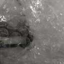 Cat Water Fountain Stainless Steel, 120oz/3.5l Water Fountains for Cats Indoor, Automatic Silent Pump, Easy Clean Water Bowl, with Replacement Filters, Unique Cat-Shaped Design