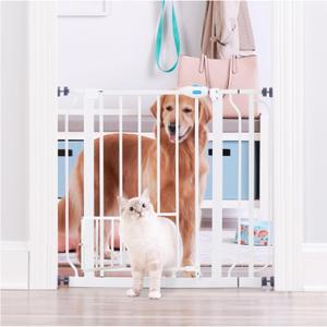 Carlson Pet Products Metal Gate
