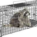 Nouva 24" Live Animal Cage Trap - Steel Large Folding Humane Cat Trap Raccoon Trap w/Handles for Rabbits, Stray Cats, Squirrels, Skunk, Groundhogs and Opossums