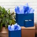 qiqee 10PCS Nordic Blue Gift Bags with Ribbon Handles Mulit Assorted Sizes Gift Wide Bags (2pcs Large 13", 4pcs Medium 9.6", 4pcs Small 6.3"22pcs Tissue Paper)