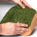 SuperMoss (22401) Instantgreen Moss Mat, Peel N Stick, 18 x 48in, Fresh green