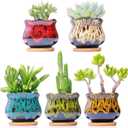 Cute Ceramic Succulent Garden Pots, Planter with Drainage and Attached Saucer, Set of 5 -Plants Not Included (Fambe)