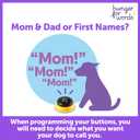 Hunger for Words Talking Pet Next Words: Names