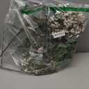 Zeyune 3 Pcs Fall Artificial Dusty Plum Stem Plum Sedum Berry Stem Autumn Faux Berry Picks Branches Faux Spray for Home Halloween Thanksgiving Farmhouse Mantel Harvest DIY Decorations (White Green)