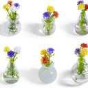 rhinocats Mini Vase Fridge Magnets, Locker Magnets, Cute Decorative Glass Magnetic Vases for Refrigerator Kitchen Office (6 Pack)