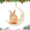 4 x Christmas Tree Decorations, Acrylic Christmas Tree Ornaments, Double-Printed Animal Hanging for Christmas Tree, Home Decor, Children's Gifts (Rabbit)