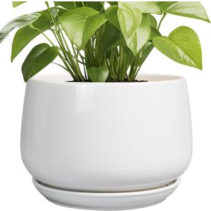 G EPGardening Ceramic Planter 9 Inch - Plant Pots with Drainage and Ceramic Saucer, Flower Pots for Indoor Plants, Modern Outdoor Planter, Living Room Decor, Gifts for Plant Lovers, White